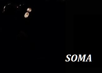 Soma' yı unutmayacağız, unutturmayacağız